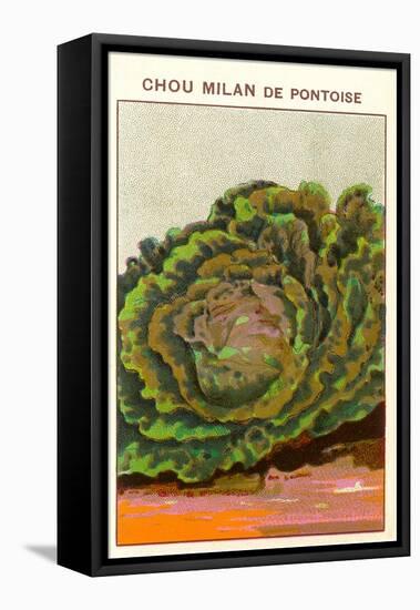 French Cabbage Seed Packet-null-Framed Stretched Canvas