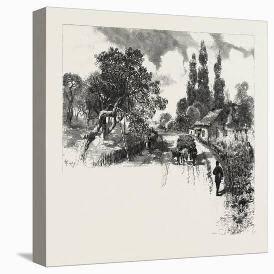 French Canadian Life, an Old Orchard, Canada, Nineteenth Century-null-Stretched Canvas