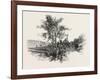 French Canadian Life, Chateau Richer, Canada, Nineteenth Century-null-Framed Giclee Print