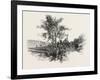 French Canadian Life, Chateau Richer, Canada, Nineteenth Century-null-Framed Giclee Print