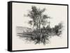 French Canadian Life, Chateau Richer, Canada, Nineteenth Century-null-Framed Stretched Canvas