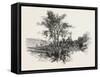 French Canadian Life, Chateau Richer, Canada, Nineteenth Century-null-Framed Stretched Canvas