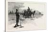 French Canadian Life, Gathering Marsh Hay, Canada, Nineteenth Century-null-Stretched Canvas