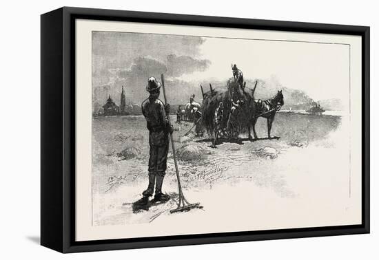 French Canadian Life, Gathering Marsh Hay, Canada, Nineteenth Century-null-Framed Stretched Canvas