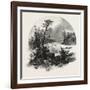 French Canadian Life, Head of Shawenegan Falls, Canada, Nineteenth Century-null-Framed Giclee Print