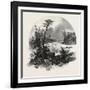 French Canadian Life, Head of Shawenegan Falls, Canada, Nineteenth Century-null-Framed Giclee Print