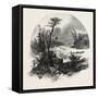 French Canadian Life, Head of Shawenegan Falls, Canada, Nineteenth Century-null-Framed Stretched Canvas