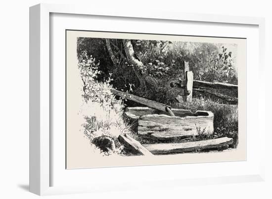 French Canadian Life, Wayside Watering Trough, Canada, Nineteenth Century-null-Framed Giclee Print