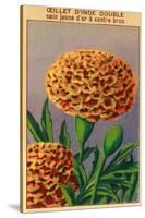 French Carnation of India Seed Packet-null-Stretched Canvas