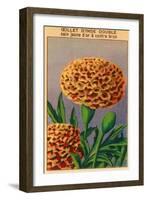 French Carnation of India Seed Packet-null-Framed Art Print