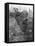 French Chasseurs Alpins Fighting in Alsace During 1914-J Simont-Framed Stretched Canvas