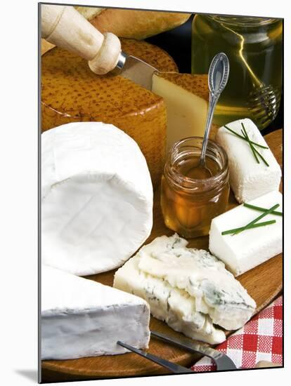 French Cheeses and Honey, France-Nico Tondini-Mounted Premium Photographic Print