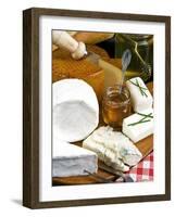 French Cheeses and Honey, France-Nico Tondini-Framed Photographic Print