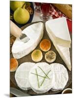 French Cheeses, France-Nico Tondini-Mounted Photographic Print