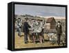 French Chemist and Bacteriologist. Vaccination of Sheep Against Anthrax, Agerville, France, 1884-Prisma Archivo-Framed Stretched Canvas