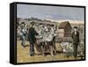 French Chemist and Bacteriologist. Vaccination of Sheep Against Anthrax, Agerville, France, 1884-Prisma Archivo-Framed Stretched Canvas