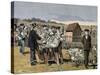 French Chemist and Bacteriologist. Vaccination of Sheep Against Anthrax, Agerville, France, 1884-Prisma Archivo-Stretched Canvas