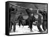 French Commandos on the Beach, Thanh Hoa, Vietnam, 1953-Peraud-Framed Stretched Canvas