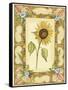 French Country Sunflower II-null-Framed Stretched Canvas