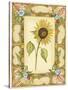 French Country Sunflower II-null-Stretched Canvas