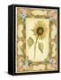 French Country Sunflower II-null-Framed Stretched Canvas