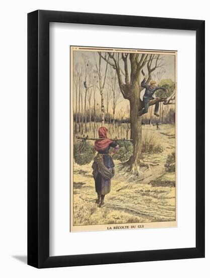 French Countryfolk Harvesting Mistletoe for the Christmas Market-null-Framed Photographic Print