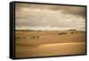 French Countryside I-Erin Berzel-Framed Stretched Canvas