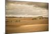 French Countryside I-Erin Berzel-Mounted Photographic Print