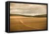 French Countryside II-Erin Berzel-Framed Stretched Canvas