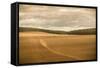 French Countryside II-Erin Berzel-Framed Stretched Canvas