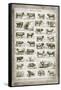 French Cow Chart-Gwendolyn Babbitt-Framed Stretched Canvas