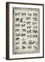 French Cow Chart-Gwendolyn Babbitt-Framed Art Print