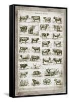 French Cow Chart-Gwendolyn Babbitt-Framed Stretched Canvas