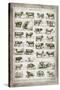 French Cow Chart-Gwendolyn Babbitt-Stretched Canvas