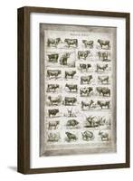 French Cow Chart-Gwendolyn Babbitt-Framed Art Print