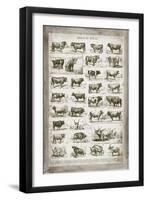 French Cow Chart-Gwendolyn Babbitt-Framed Art Print