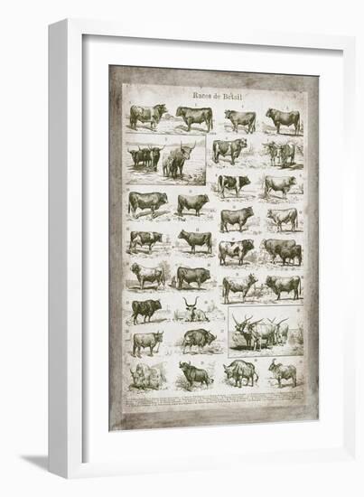 French Cow Chart-Gwendolyn Babbitt-Framed Art Print