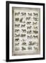 French Cow Chart-Gwendolyn Babbitt-Framed Art Print