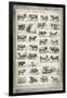 French Cow Chart-Gwendolyn Babbitt-Framed Art Print