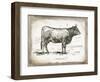 French Cow I-Gwendolyn Babbitt-Framed Art Print
