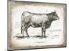French Cow I-Gwendolyn Babbitt-Mounted Art Print