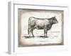 French Cow I-Gwendolyn Babbitt-Framed Art Print