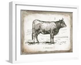 French Cow I-Gwendolyn Babbitt-Framed Art Print