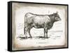 French Cow I-Gwendolyn Babbitt-Framed Stretched Canvas