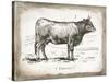French Cow I-Gwendolyn Babbitt-Stretched Canvas