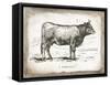 French Cow I-Gwendolyn Babbitt-Framed Stretched Canvas