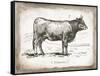 French Cow I-Gwendolyn Babbitt-Framed Stretched Canvas