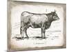 French Cow I-Gwendolyn Babbitt-Mounted Art Print