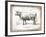 French Cow II-Gwendolyn Babbitt-Framed Art Print