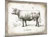 French Cow II-Gwendolyn Babbitt-Mounted Art Print